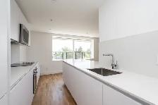 Renovated one bedroom, Eglinton and DVP - ID 198 - Photo 2