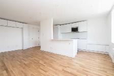 Renovated one bedroom, Eglinton and DVP - ID 198 - Photo 3