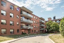 Renovated one bedroom, Eglinton and DVP - ID 198 - Photo 11