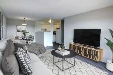 Gorge Apartments - Bachelor available at 215-221,155,157 & 243 G - Photo 15