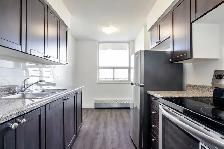 30 Tuxedo Court Apartments - Bachelor available at 30 Tuxedo Cou - Photo 6