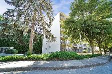Sydney Place Apartments - Bachelor available at 544 Sydney Avenu - Photo 3