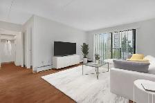 Sydney Place Apartments - Bachelor available at 544 Sydney Avenu - Photo 14