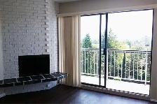 Sydney Place Apartments - Bachelor available at 544 Sydney Avenu - Photo 15