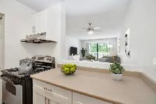 Carrigan Court Apartments - 1 Bedroom available at 3836 Carrigan - Photo 8