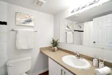 Carrigan Court Apartments - 1 Bedroom available at 3836 Carrigan - Photo 9