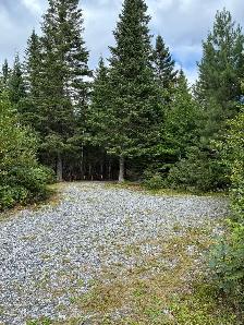 Chalet à vendre au Lac Édouard - Photo 9