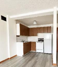 Graceland - One Bedroom Apartment for Rent - Photo 3