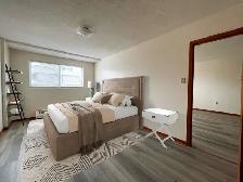 Graceland - One Bedroom Apartment for Rent - Photo 5
