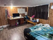 2BHK Basement In Toronto Newly Renovated - Photo 3