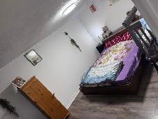 2BHK Basement In Toronto Newly Renovated - Photo 4