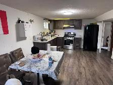 2BHK Basement In Toronto Newly Renovated - Photo 5
