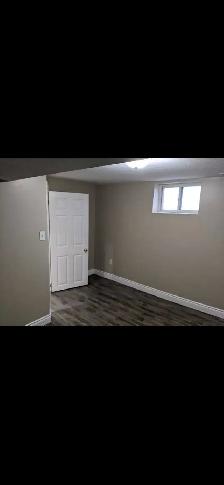 Painter / Painting Services - Photo 5