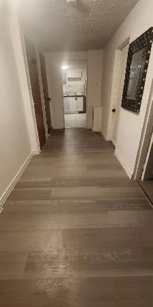 Basement room for rent