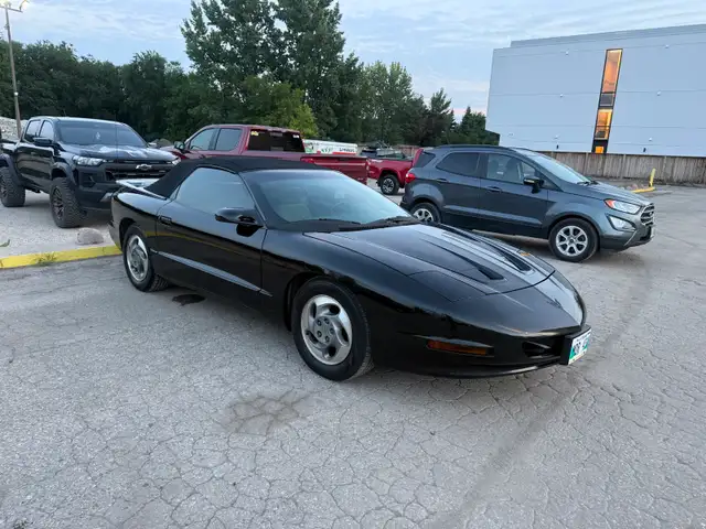 1995 Pontiac, Firebird convertible