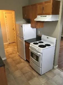 1 Bedroom Apt. near HSC - Photo 3
