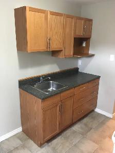 1 Bedroom Apt. near HSC - Photo 4