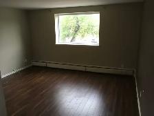 1 Bedroom Apt. near HSC - Photo 6