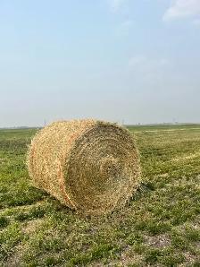 Tall Fescue Bales