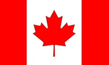 Cours d'anglais ou français en ligne/English or French classes