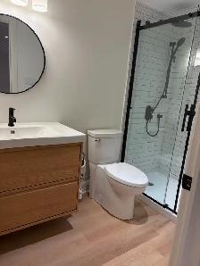 Carpenter/Experienced Construction Worker - Photo 6