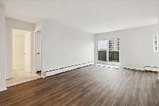 Frontenac Apartments - 1 Bedroom available at 1, 3 Frontenac Roa - Photo 8