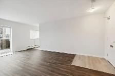 Frontenac Apartments - 1 Bedroom available at 1, 3 Frontenac Roa - Photo 9