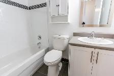 Yonge Eglinton Apartments – Duplex - Bachelor available at 411 D - Photo 10