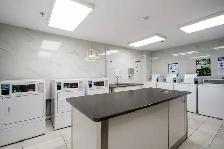 The Thomas - 2 Bedroom available at 355 St. Clair Avenue West, T - Photo 19