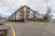 Lord Harley - 2 Bedroom available at 3220 Quadra Street, Victori - Photo 7