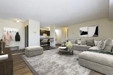 Southwood Greene Apartments - 1 Bedroom available at 4902 Queen - Photo 5