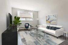 Islington Apartments - 1 Bedroom available at 148 Islington Aven - Photo 4