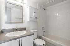 Panorama Apartments - 1 Bedroom available at 18 Panorama Court, - Photo 12