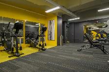 Yonge Eglinton Apartments — Orchard View - Bachelor available at - Photo 4