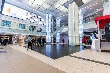 Yonge Eglinton Apartments — Orchard View - Bachelor available at - Photo 13