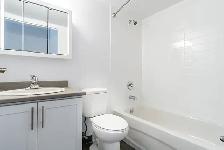 Livonia Apartments - 1 Bedroom available at 30 Livonia Place, Sc - Photo 14