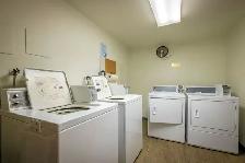Arla Manor - Bachelor available at 1016 E 8th Ave, Vancouver Apa - Photo 6