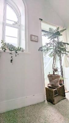 2-BDRM Charm Walk to Downtown in 7 minutes & 20 to UG - Photo 6