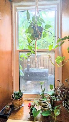 2-BDRM Charm Walk to Downtown in 7 minutes & 20 to UG - Photo 7