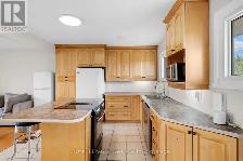 Fisher Heights Single House an Extra Large rooms $1000/month now - Photo 3