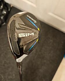 Sim 2 Max Hybrid