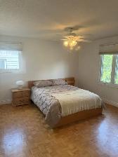 A Single House 6 Bedrooms near Algonquin College $6000/month Now - Photo 7