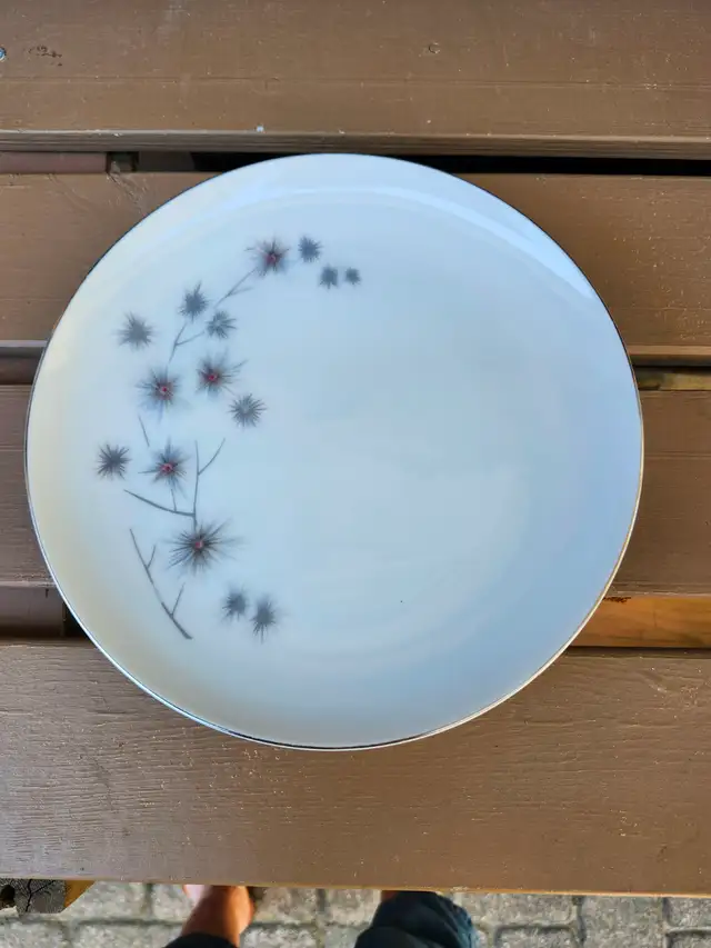 China Dinner Set Dishes