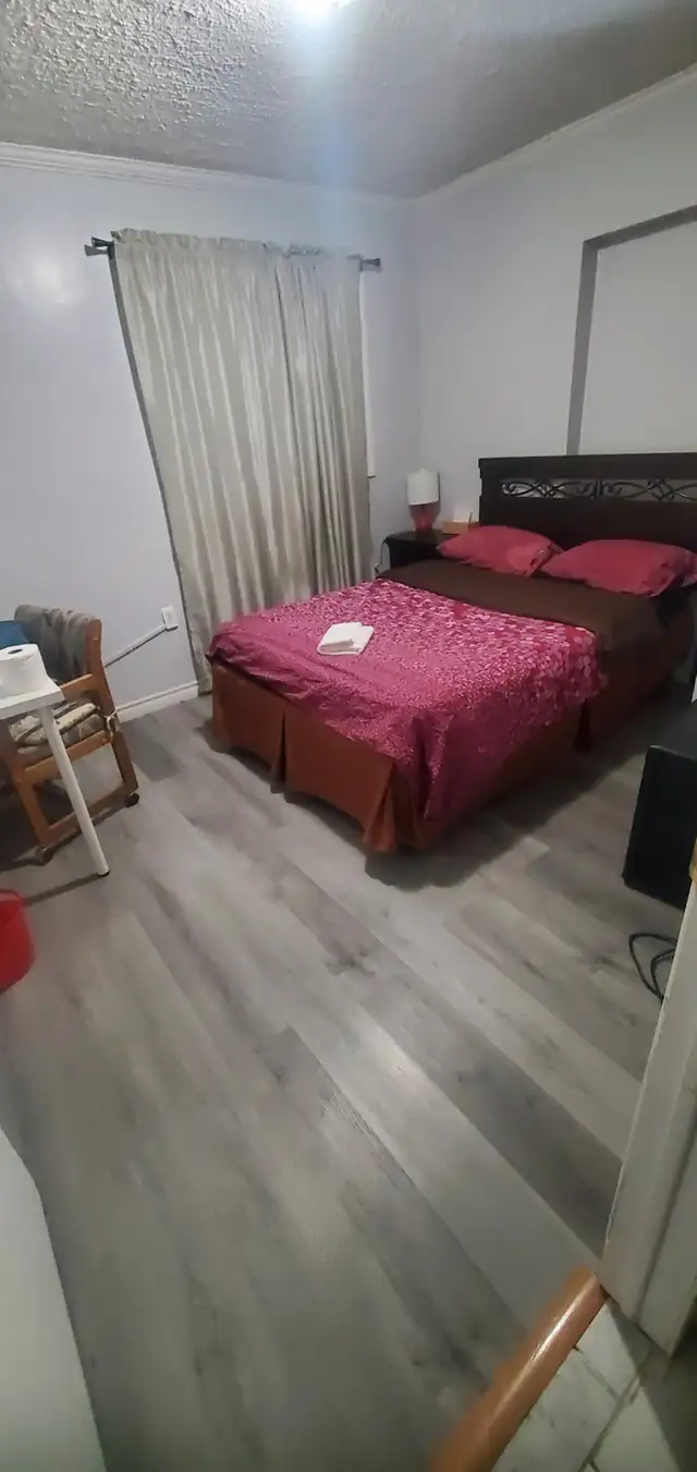 HALF OFF 1st Month-Clean 1 Person Room-Brampton-October 1st