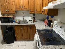 HALF OFF 1st Month-Clean 1 Person Room-Brampton-October 1st - Photo 5