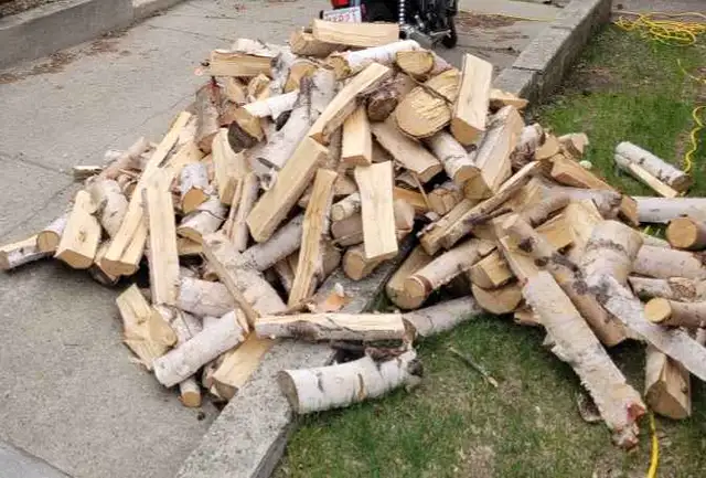 Birch and Spruce Firewood by the pickup load