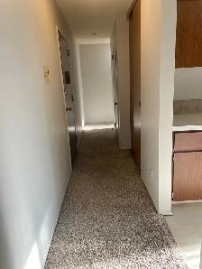 lovely two bed room apartment