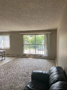 lovely two bed room apartment - Photo 10