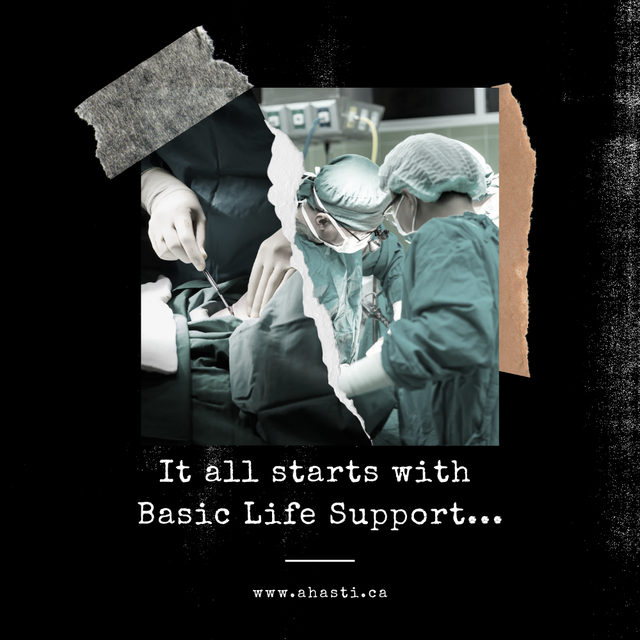Start the School Year Strong with BLS!