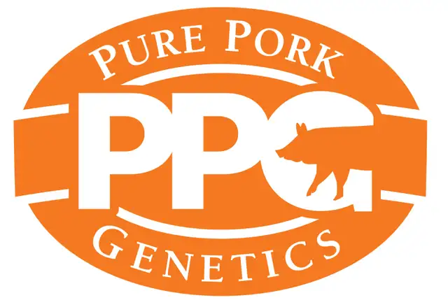 Swine Technician